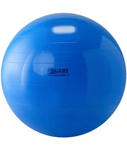 Gymnic Balls